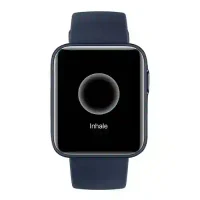 Умные часы Xiaomi Mi Watch Lite Blue