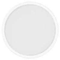 Потолочный светильник Xiaomi Smart Ceiling Light D30, White
