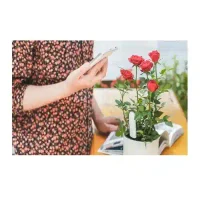 Senzor inteligent pentru plante Xiaomi Smart Flower and Plant Monitor 2
