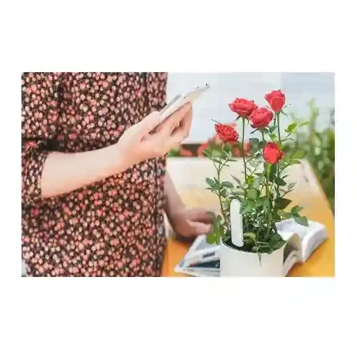 Senzor inteligent pentru plante Xiaomi Smart Flower and Plant Monitor 2